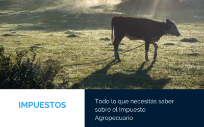 Todo lo que necesitas saber sobre el Impuesto al Patrimonio Agropecuario en Uruguay: exoneraciones, tasas y normas.