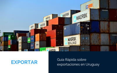 Guía rápida sobre impuestos a las exportaciones en Uruguay